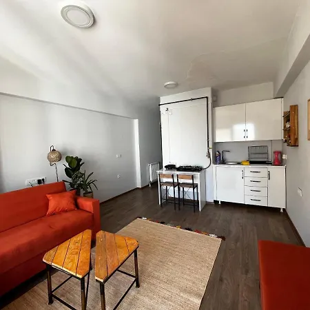 Cozy 1br In A New Building In Kadikoy Appartement *