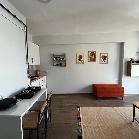 Cozy 1br In A New Building In Kadikoy Istambul