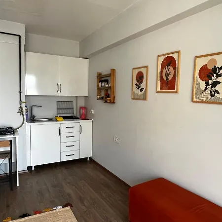アパート Cozy 1br In A New Building In Kadikoy